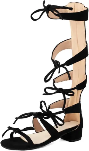 Gladiator Knee High Sandals for Women Summer Low Heel Open Toe Strappy Sandals with Bow Dress Shoes