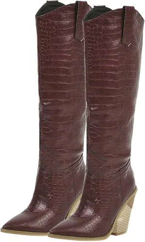 Womens Stacked Chunky Heels Cowgirl Boots Knee High Pointed Toe Cowboy Boots